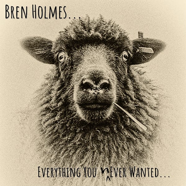 bren holmes everything you never wanted